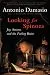 Cover of Looking for Spinoza: Joy, Sorrow, and the Feeling Brain
