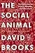Cover of The Social Animal: The Hidden Sources of Love, Character, and Achievement