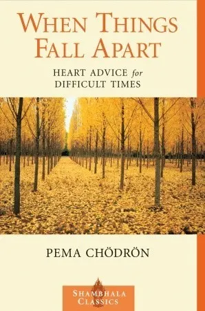 Cover of When Things Fall Apart: Heart Advice for Difficult Times