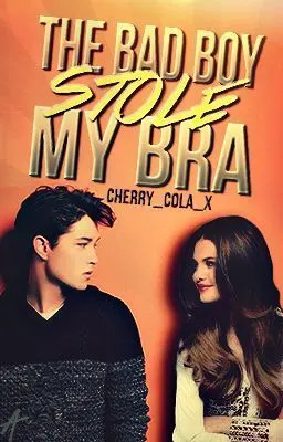 Cover of The Bad Boy Stole My Bra