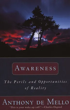 Cover of Awareness: The Perils and Opportunities of Reality