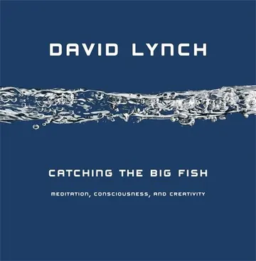 Cover of Catching the Big Fish: Meditation, Consciousness, and Creativity