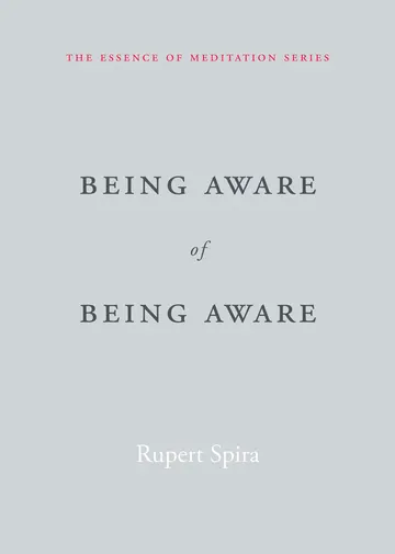 Cover of Being Aware of Being Aware
