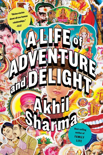 Cover of A Life of Adventure and Delight