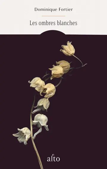 Cover of Les ombres blanches