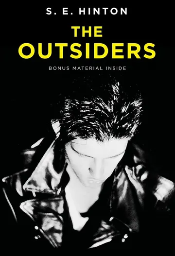 Cover of The Outsiders